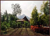 rutu farm